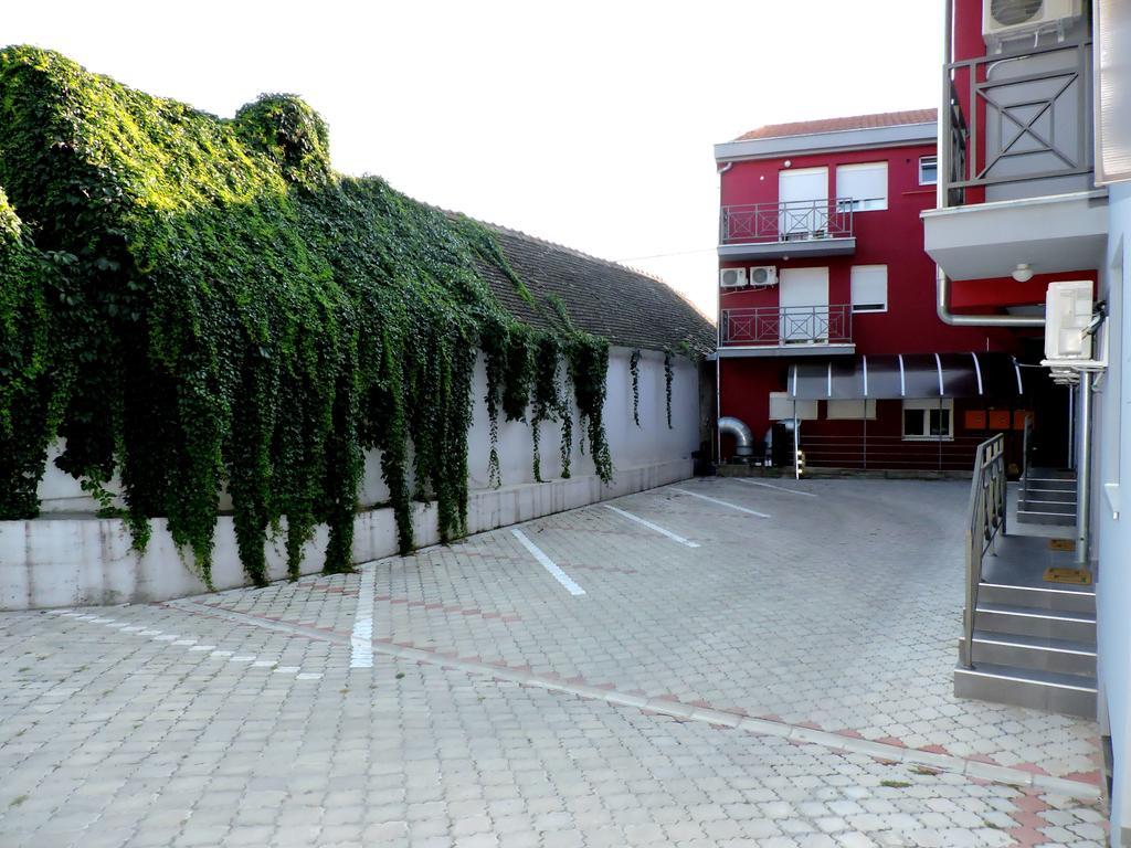 B&B Zmajevo Gnezdo 021 Sremska Kamenica Luaran gambar